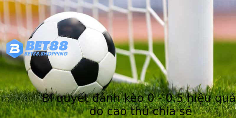 Bí quyết đánh kèo 0 - 0.5 hiệu quả do cao thủ chia sẻ