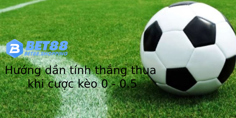 Hướng dần tính thắng thua khi cược kèo 0 - 0.5